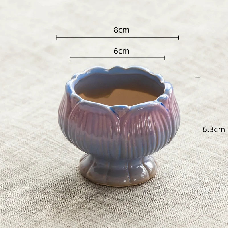 S05fb9cf0922647458b7c909c866b4411y