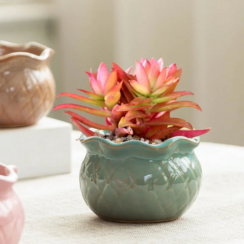 S34cf3325fc044953bb9e46b608b00c53B