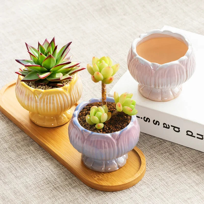 Sff6d7aa8663b464c89587e27a9a66130f